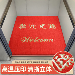 定製logo廣告入戶門地墊高級感門口耐髒入戶腳墊電梯墊子絲圈地墊