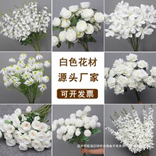 10֦�b��ɫϵ����c���Ļ�Y��ܛ�b���ӆ��ܛ�b���Ĺ��T����