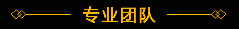 专业团队