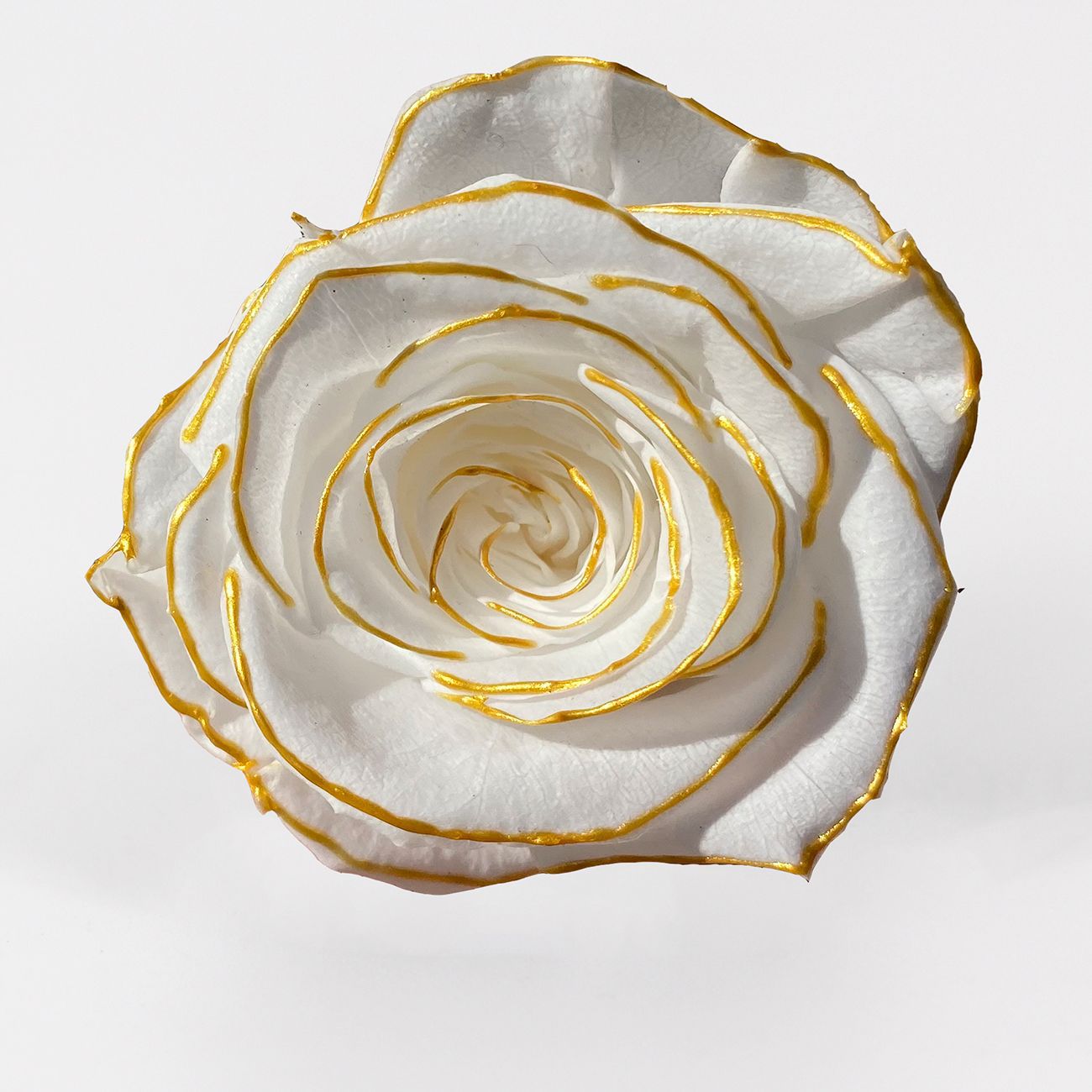 Grado una flor eterna pequeña fragancia Rosa fragancia serie de canciones Borde negro Rosa delineador de ojos flor seca floral caja de regalo de enseñanza ramo