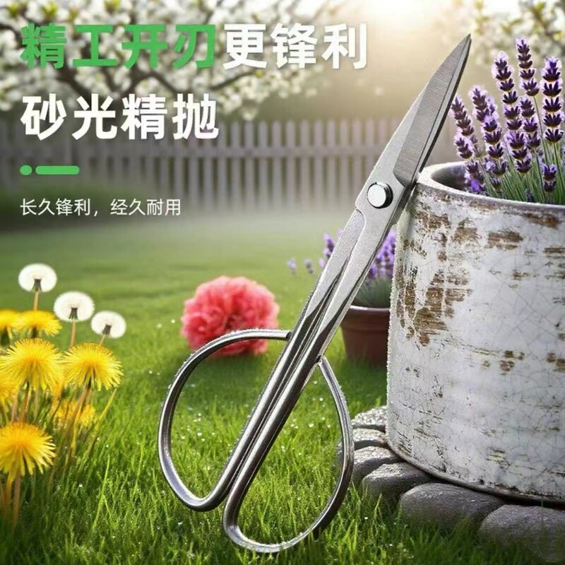 叶芽剪全钢一体不锈钢材质园艺剪叶芽剪嫩芽剪刀插花盆景枝呀剪刀|undefined