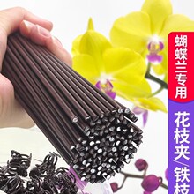 �����m֧�܊A�ӌ��ù̶�����������F�z�������@ˇ����ֲ��֧�ΗU