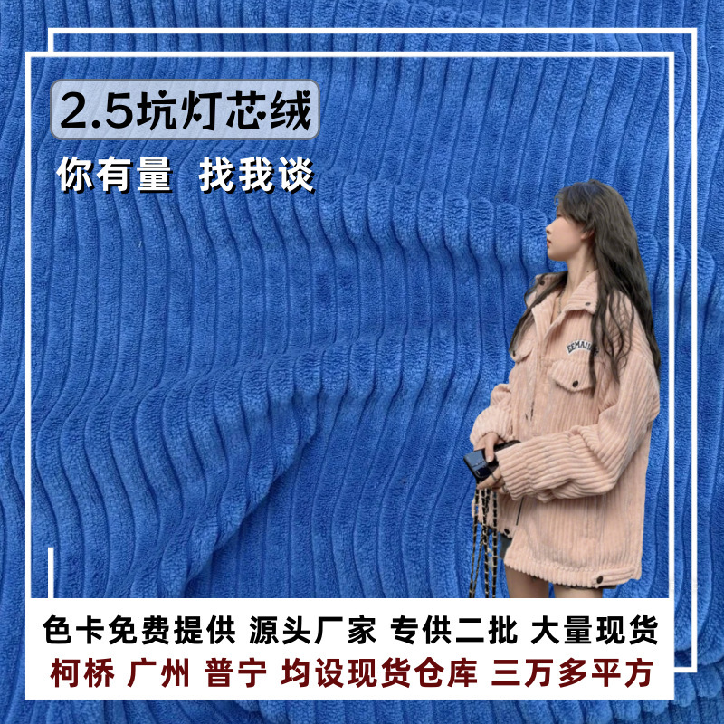 Polyester 2.5 Pit Corduroy Warp-Knitted 2.5 Corduroy Fabric for Home Textiles, Clothing, Shoes, Hats, and Bags