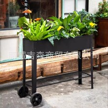 �Fˇ���Ƅӻ����̨�������Nֲ�����픘ǷN�ˌ����L���λ�����