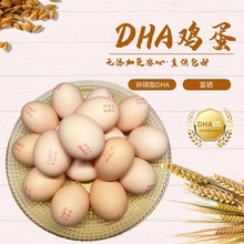 藻源DHA雞蛋 新鮮雞蛋 營養型雞蛋 雞蛋禮盒 鮮雞蛋 早餐健康