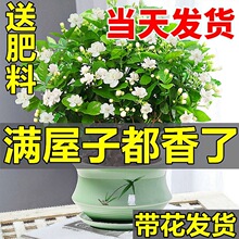 ���������Ԏ������������Ϙ����ˮ���d�ӻ��ܾGֲ���҃��ļ��_