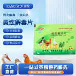 厂家直发黄连解毒片泻火解毒黄连黄芩黄柏栀子