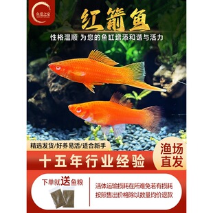 �t���~С�͟Ꭷ�~��β�t���~�t����̥���Ꭷ��ˮ�^�p�~���B�ͻ�