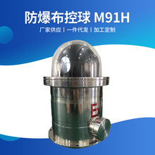 防爆布控球 M91H 4G防爆網絡球型攝像機石油化工現場作業監控設備