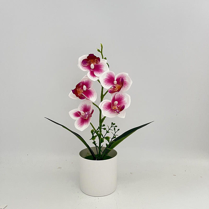 퍼플 하트 (높이 31*가로 17cm)