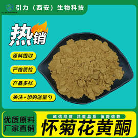 怀菊花黄酮80% 怀菊花提取物  水溶性怀菊花粉末 现货包邮