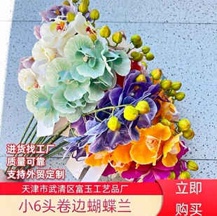 ���滨С6�^��߅�����m����ʽ�Ҿ��b��m����c�ٻ����b�[���b�
