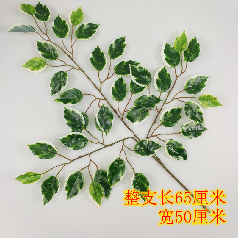 详情22.jpg