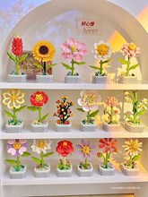 ��Ů���հ��֌��Ä����ֹ��Y�����տ����������¿�������