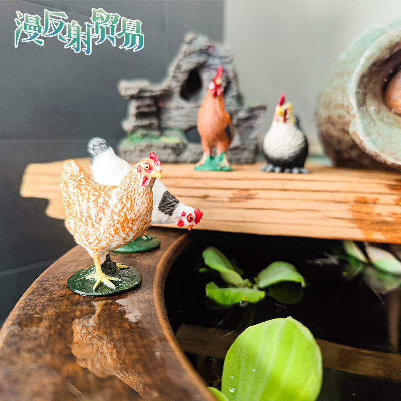 Venta caliente método antiguo de cultivo de peces adornos gallo junto al arroyo pollo jardín patio en maceta pecera paisaje acuático micro paisaje rocalla