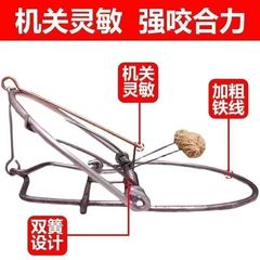 ネズミ捕獲の神器のネズミのクリップは非常に強いです。ネズミ逮捕の神器を捕まえます。