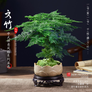 ��������ֲ���҃��k����ˮ��͏d����С�Gֲ���ܴ�ȫ�辰�ļ�����