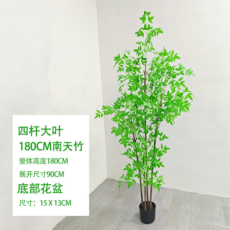 4 barras Fu Gui Nan Tian Zhu 180CM