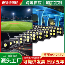 Ͷ������̌��Ñ����ˮCOB�۹�ߗU������ͥԺ�w���^�����