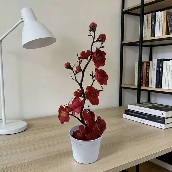 Big red (height 28*width 12CM)