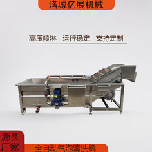 商用山楂圣女果高压喷淋式清洗设备多功能芥菜油菜气泡清洗机