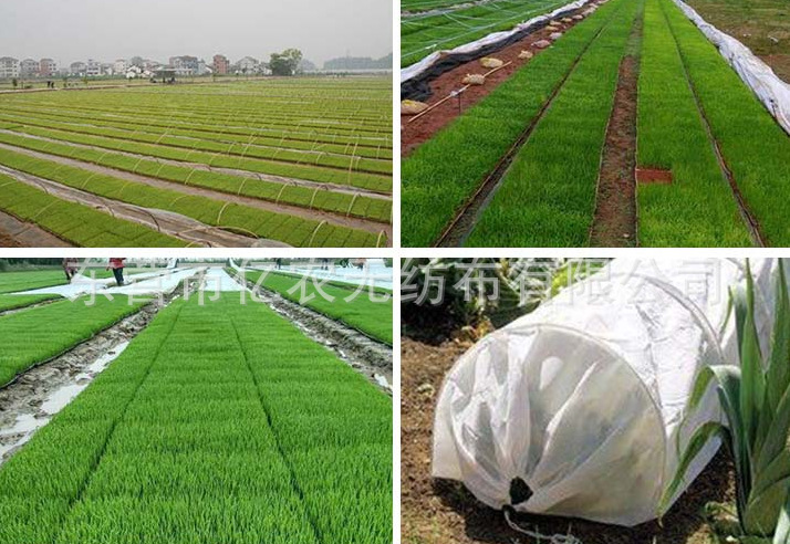 O1CN011nC2FF1bWgVh8l6S1_!!2924243473-0-cib.jpg?__r__=1722236006216