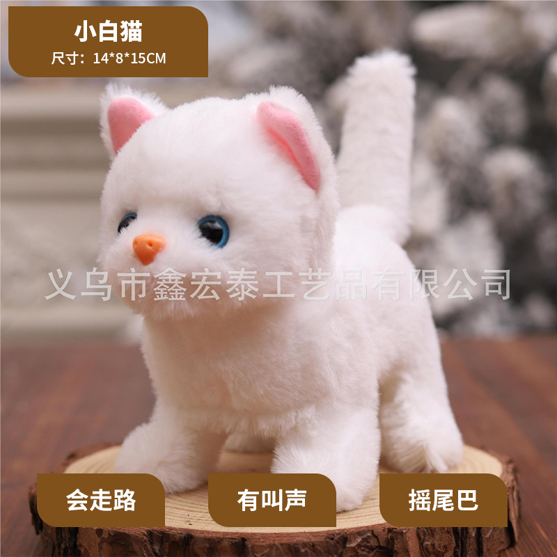 El pequeño gato blanco