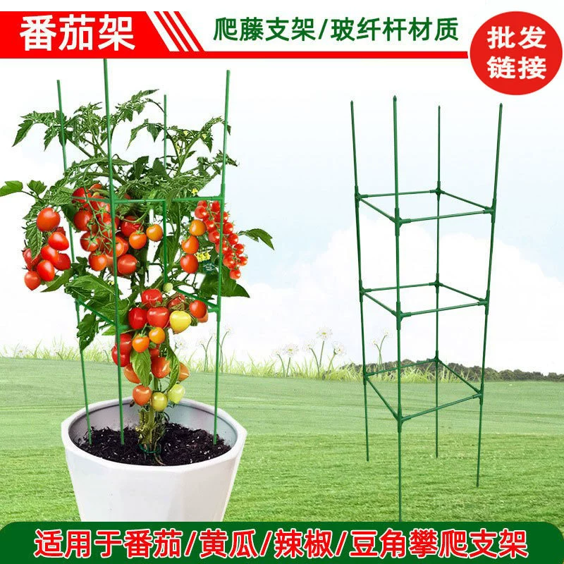 Огурец Стенд Томатный Восхождение Стенд Винограда Восхождение Растения Стенд Баклажаны Стенд Бобы Восхождение Стенд Столб Садоводство