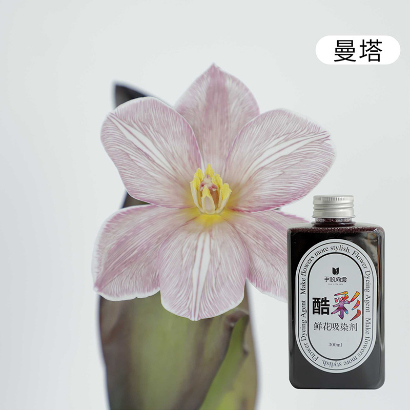 Agente absorbente económico (Manta/300ml); una variedad de opciones