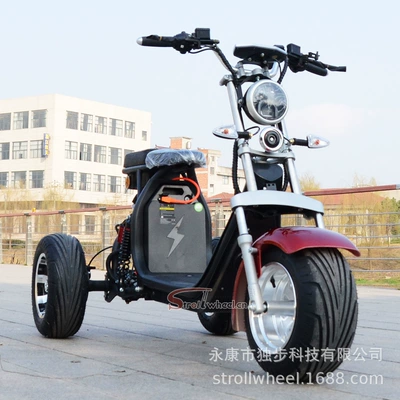 Cross-Border Export to Europe Warehouse, Dropshipping 60V40Ah Road Tire Cp-3 Golf Electric Three-Wheel Scooter