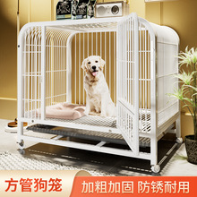 边牧专用狗笼全方管柯基犬专笼拉布拉多大型猛犬狗笼加粗加固金毛