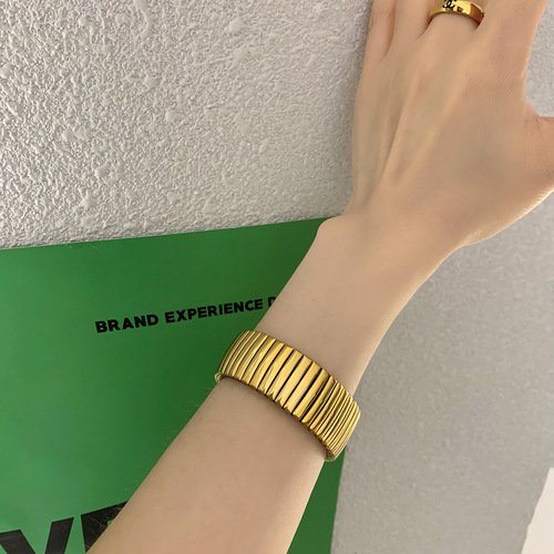 Titanium steel bracelet with a high-end sense of elasticity, retro watch strap, cold and stylish personality, exaggerated fashion temperament, versatile bracelet.