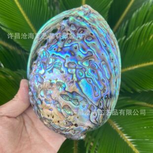 �����m�{�U�~ؐ���Ҿ��b���ؐ���~��ˮ�儓��[���ղص����Ĕz