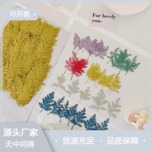 ������Ⱦɫ ����diy���ϰ� �ֹ�ˇ��֬���z���̨�� �����ŷ�Ո��