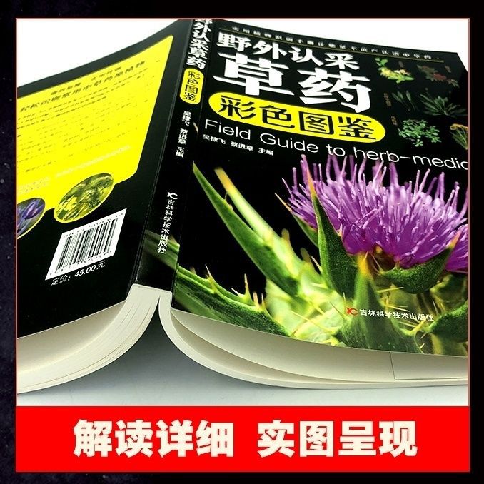 野外認知ハーブカラー図鑑実用植物識別マニュアル200種類以上の野外よくある本