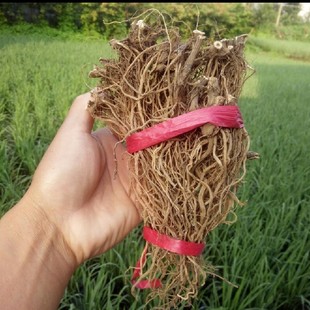 ����Ұ����ţϥ��һ�rʮ�� ���۲� ���~ţϥ���Ұ����ș������l