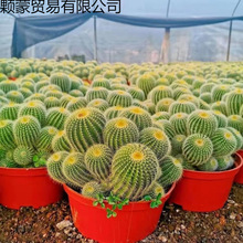 Ⱥ����������^����������҃��������Է���Xݗ���k�����҃ȶ���