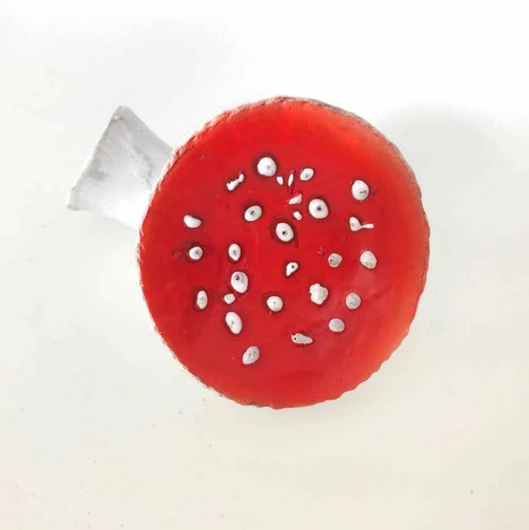 Mushroom Hanging Shelf