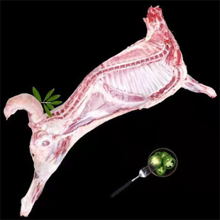 �}�؞����ͥ�Y���b���� ��ֻ�����w18��888Ԫ���] ��������