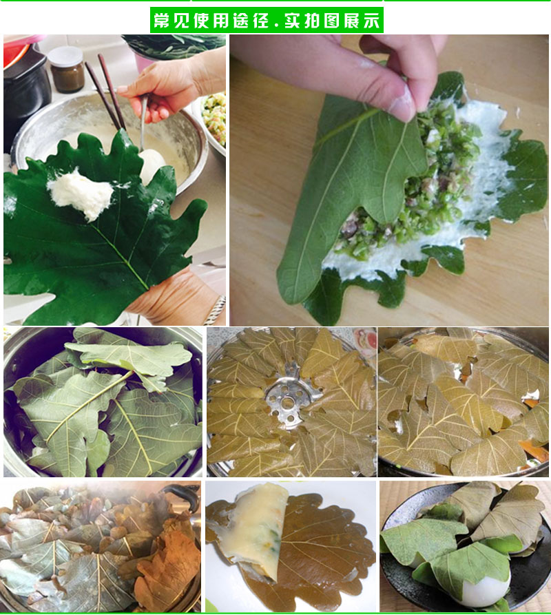 新鲜大粽叶槲叶 伯乐叶柞树叶端午包粽子100片饼现采玻璃叶桲椤叶-阿里巴巴