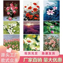 �W�����LDIY�������տ������㔵���ͮ��≺�쮋30*40С�����L�ֹ�