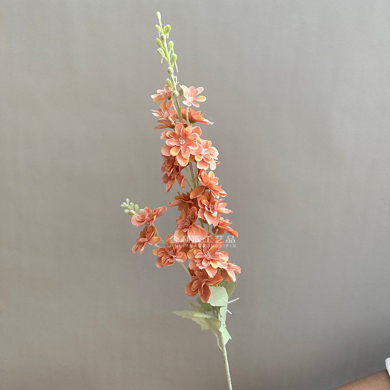 카메오 다크 브라운