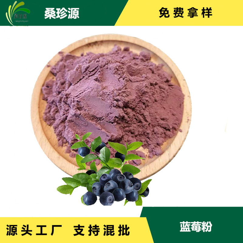 现货供应蓝莓粉 固体饮料原料蓝莓汁粉  蓝莓果粉现货 100g/袋