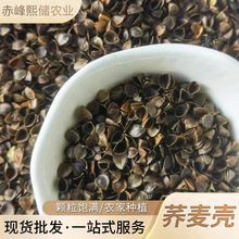 ���ɏS�����l�w������s�Z�r���Ԯa�w��ʳ�ôּZ����ԭ������w��