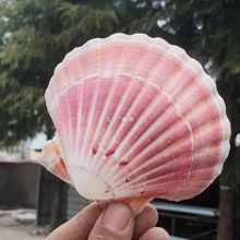 ���Nؐ����ɫ���������ؐ��ؐ���b��~���쾰DIY�ֹ��㺞��Ȼ
