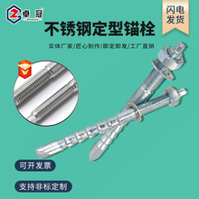 304定型锚栓国标不锈钢M12M16M20M24倒锥形膨胀螺栓定型化学锚栓