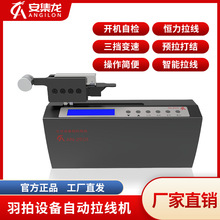 网羽球拍拉线机/穿线机/美国慧斯电脑拉线头/wise智能拉穿线机