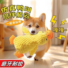 ����������˽␞��Ȯĥ����ҧë�q��ż����l���ľ������