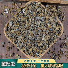 ��һ�� ��D�x ���x ��ʭ ��ؓ ��� �ל��x �����x�Ŀɟo�۰l؛