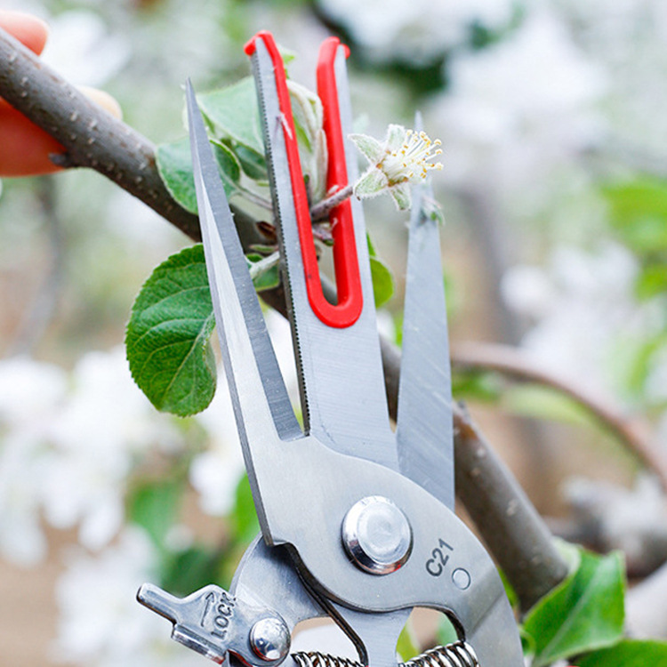 Garden Tools Double-edged Apple Picking Scissors Kiwi Pear Fruit Tree Double-Blade Fruit Thinning Flower Scissors Gardening Tools